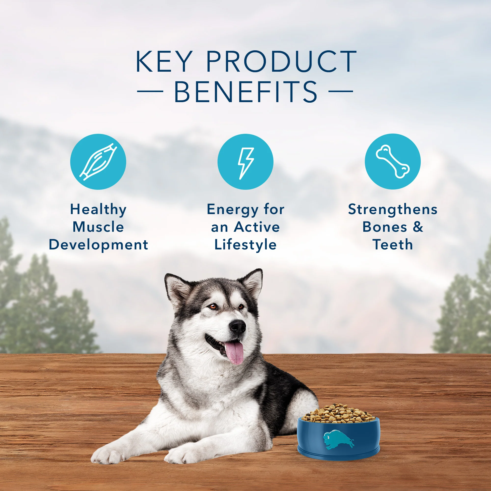 Blue Buffalo Wilderness Dog Food Chicken - Image 5