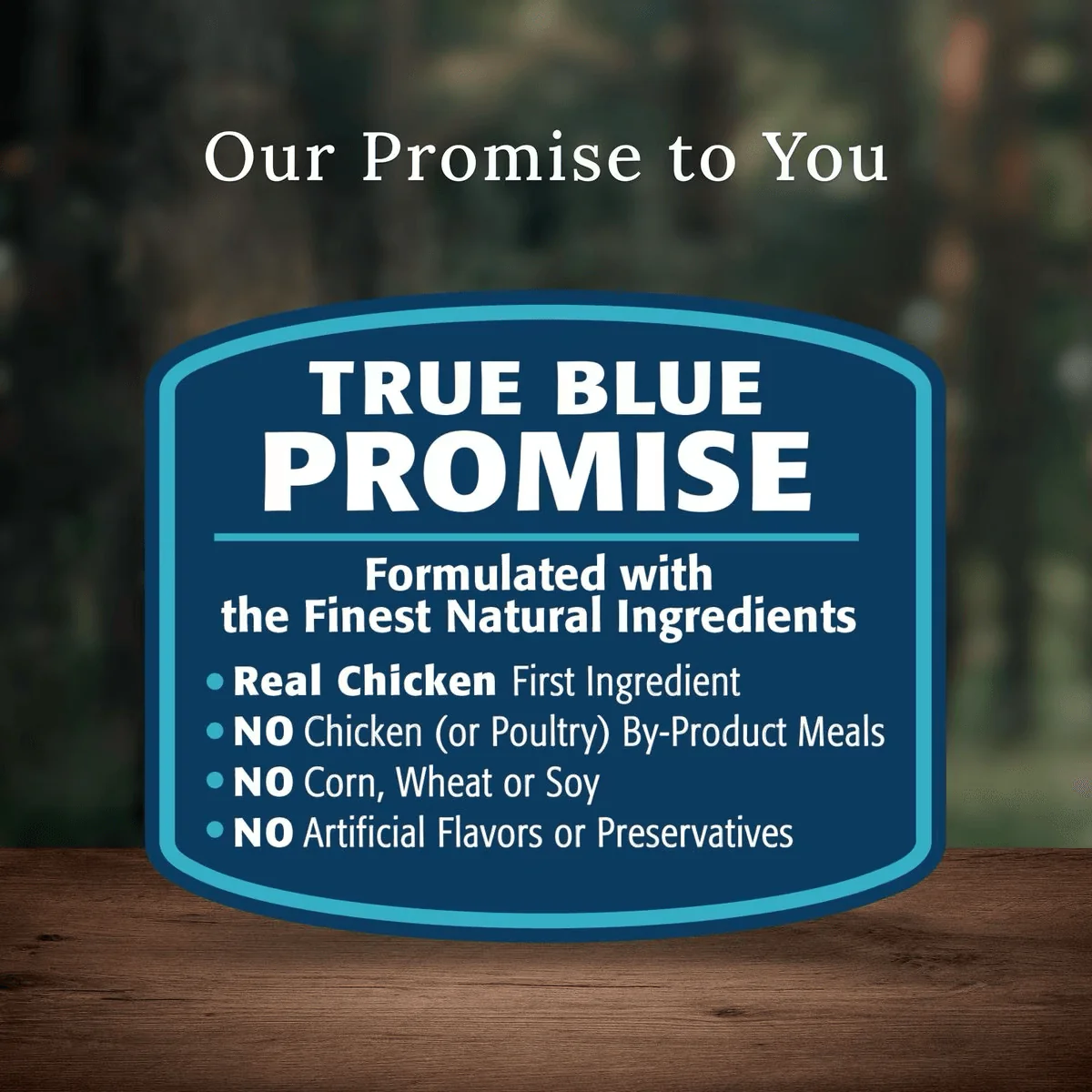 Blue Buffalo Wilderness Dog Food Senior - Image 13
