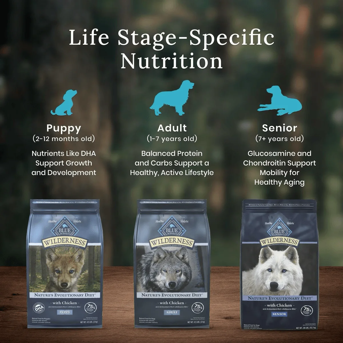 Blue Buffalo Wilderness Dog Food Senior - Image 14