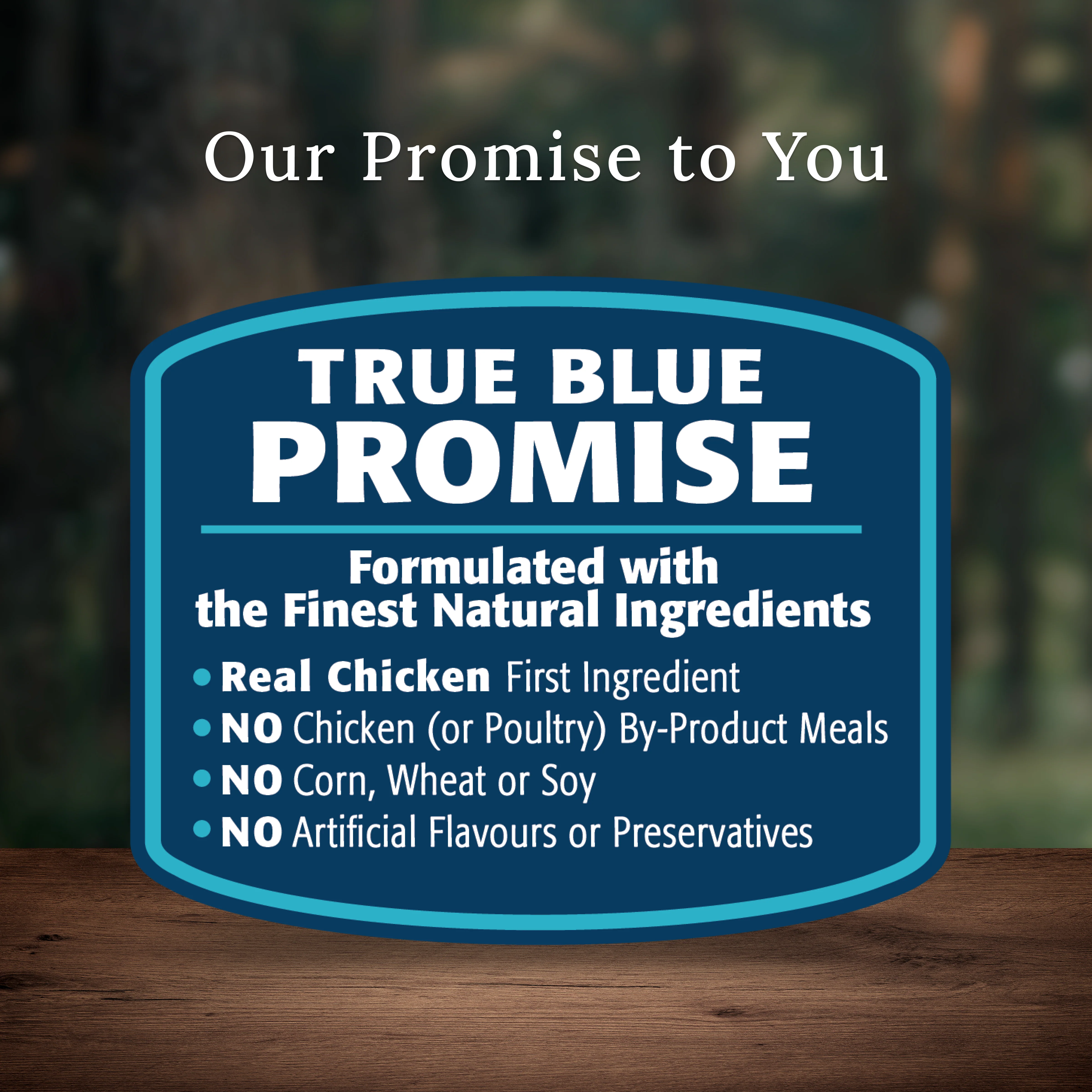Blue Buffalo Wilderness Dog Food Senior - Image 6