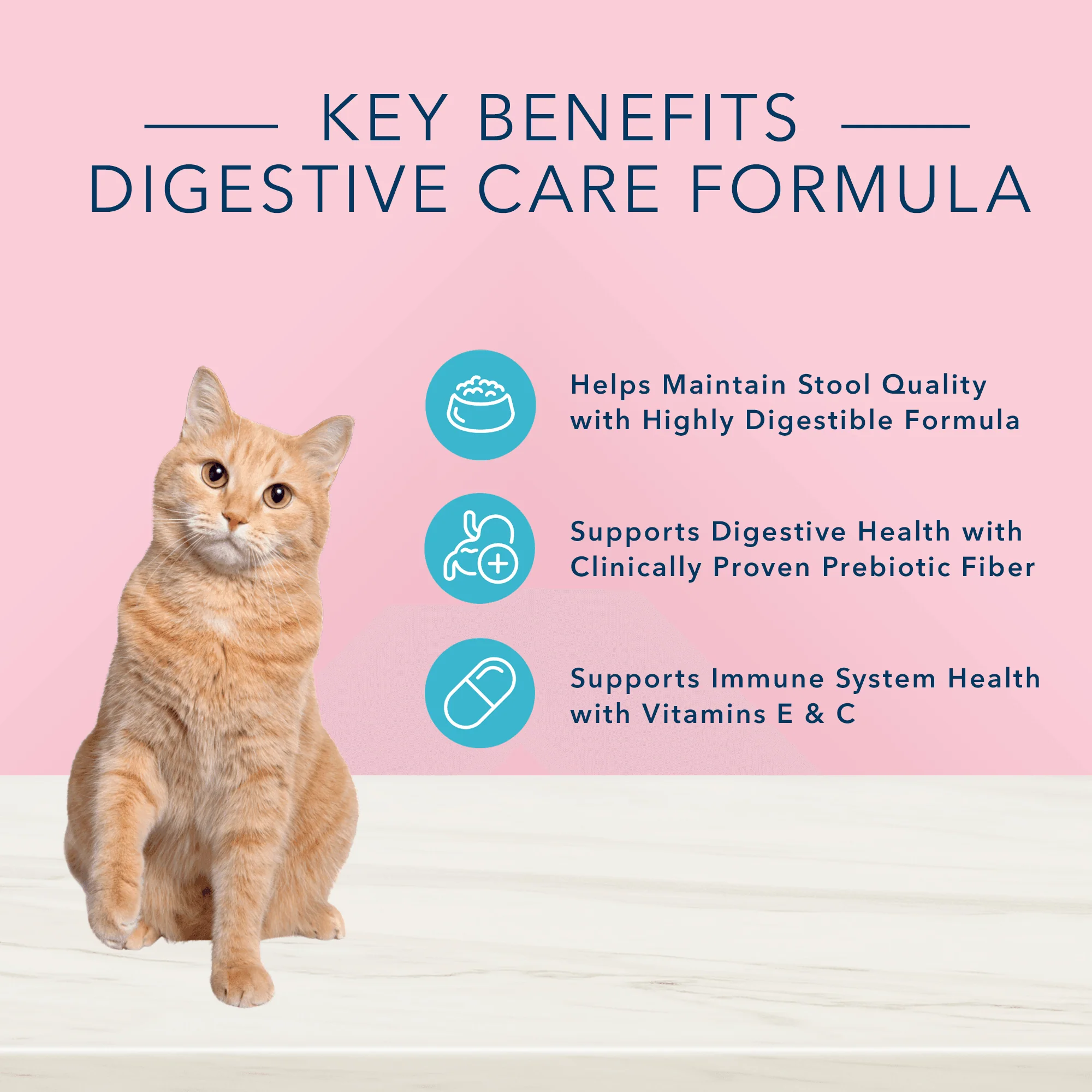 Blue Buffalo True Solutions Cat Wet Food Digestive Care Chicken - Image 8
