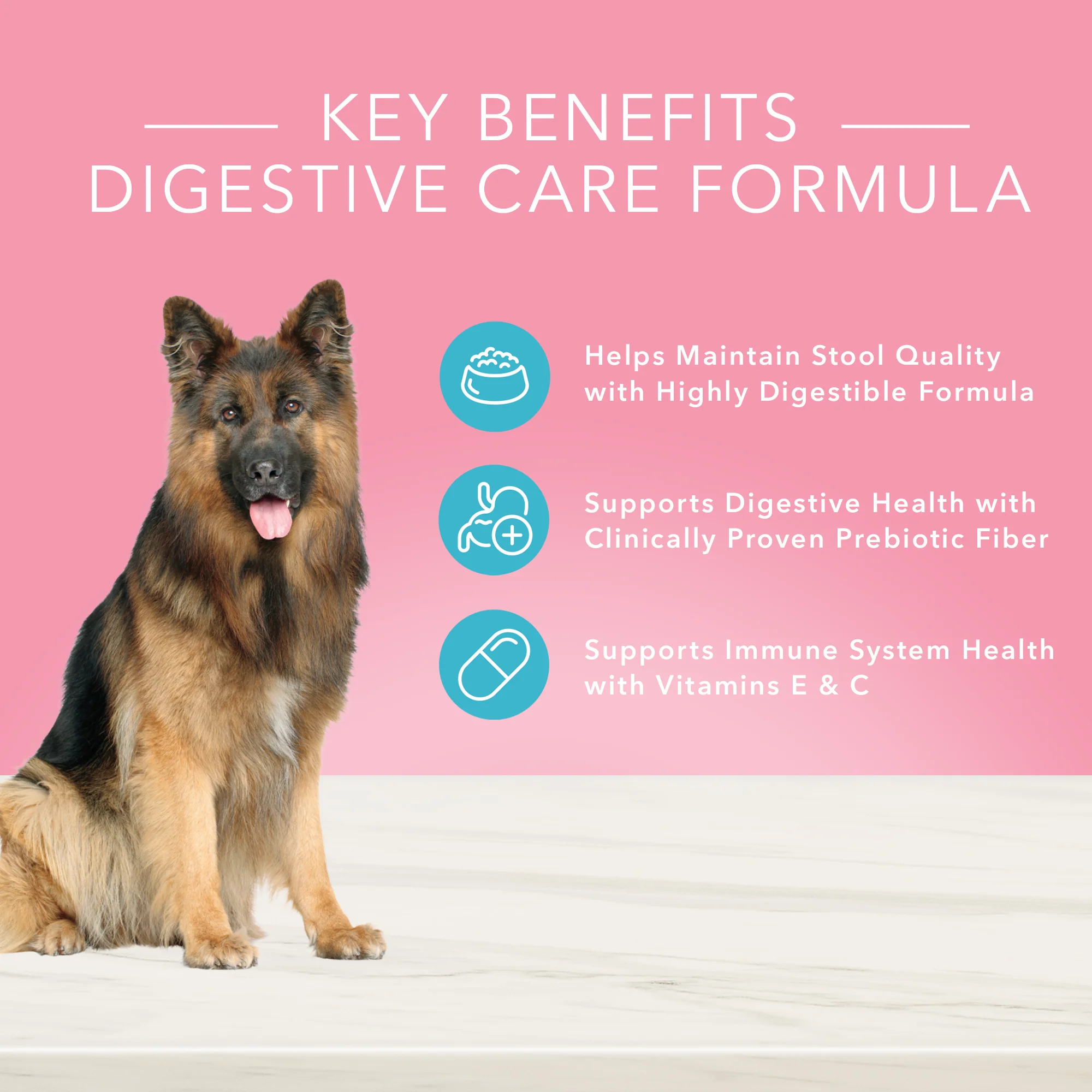 Blue Buffalo True Solutions Dog Wet Food Digestive Care Chicken - Image 2