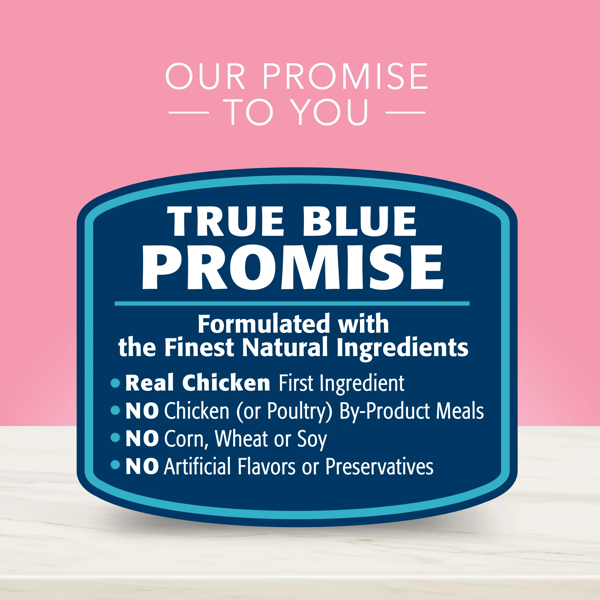 Blue Buffalo True Solutions Dog Wet Food Digestive Care Chicken - Image 4