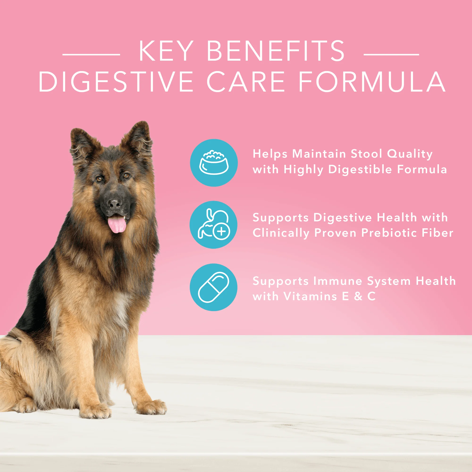Blue Buffalo True Solutions Dog Wet Food Digestive Care Chicken - Image 8