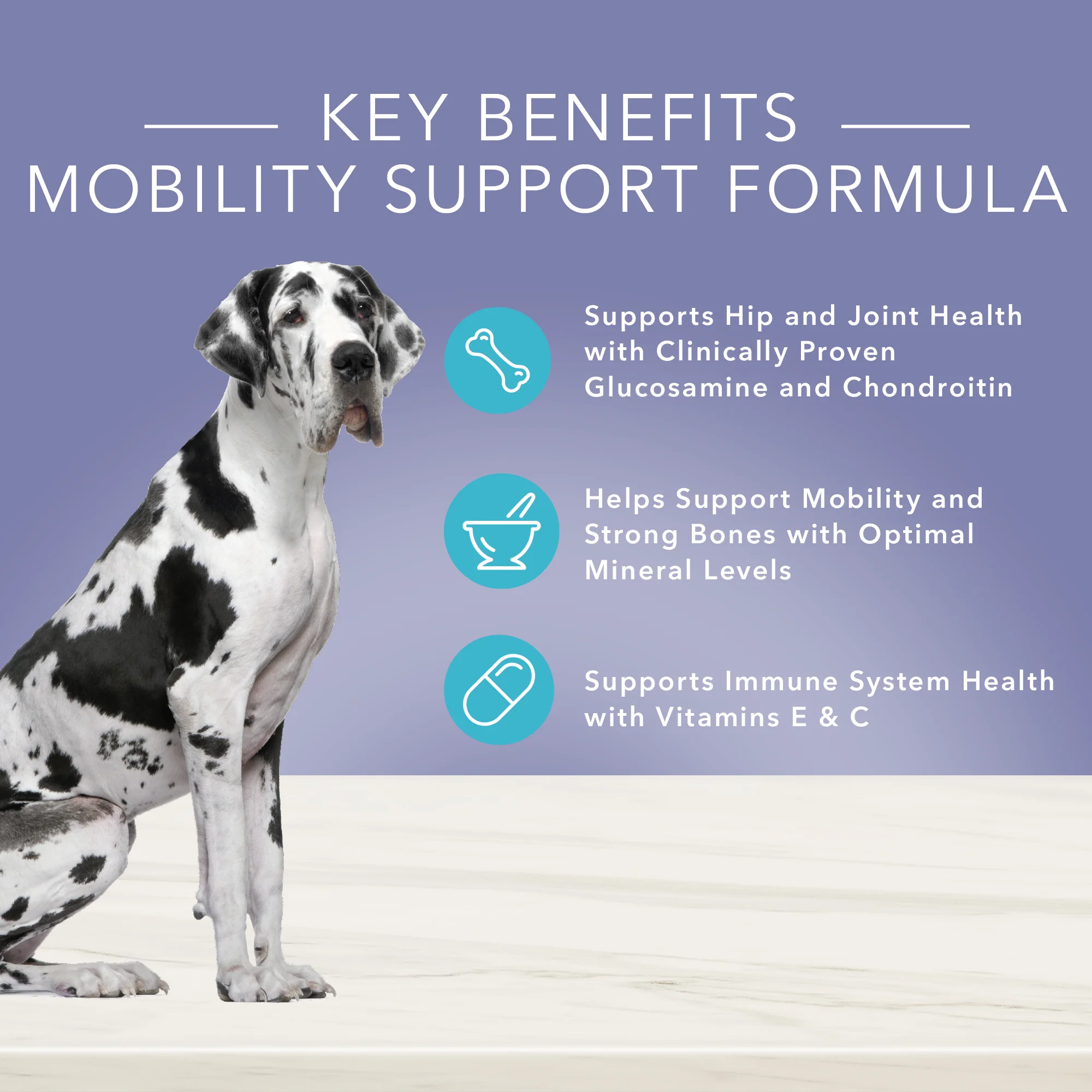 Blue Buffalo True Solutions Dog Wet Food Mobility Care Chicken - Image 2