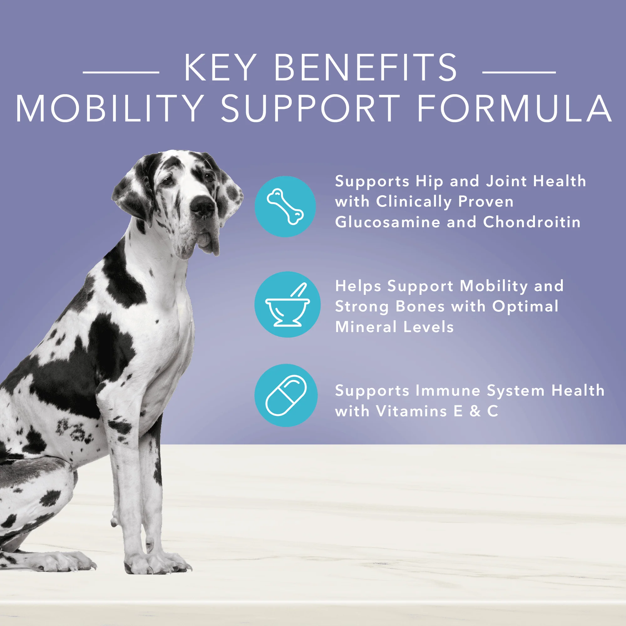 Blue Buffalo True Solutions Dog Wet Food Mobility Care Chicken - Image 8