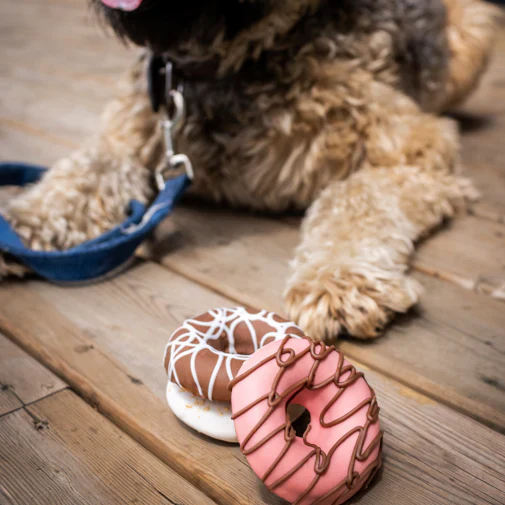 Bosco & Roxys Woof It Down Mini Donuts - Image 2