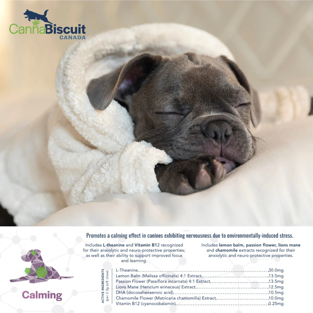 CannaBiscuit Calming with L-Theanine & Vitamin B12 for Dogs - Image 4