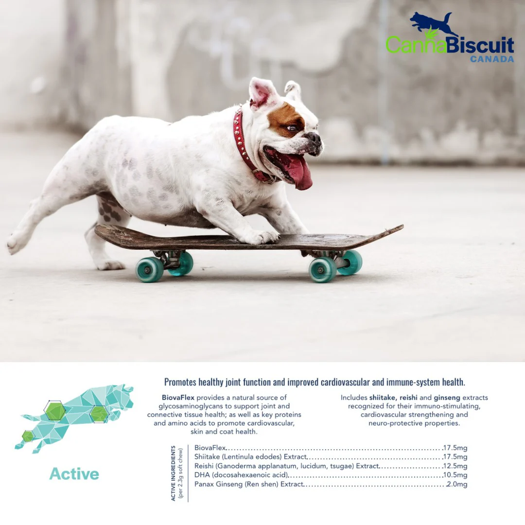 CannaBiscuit ProActive+ with BiovaFlex for Dogs - Image 3