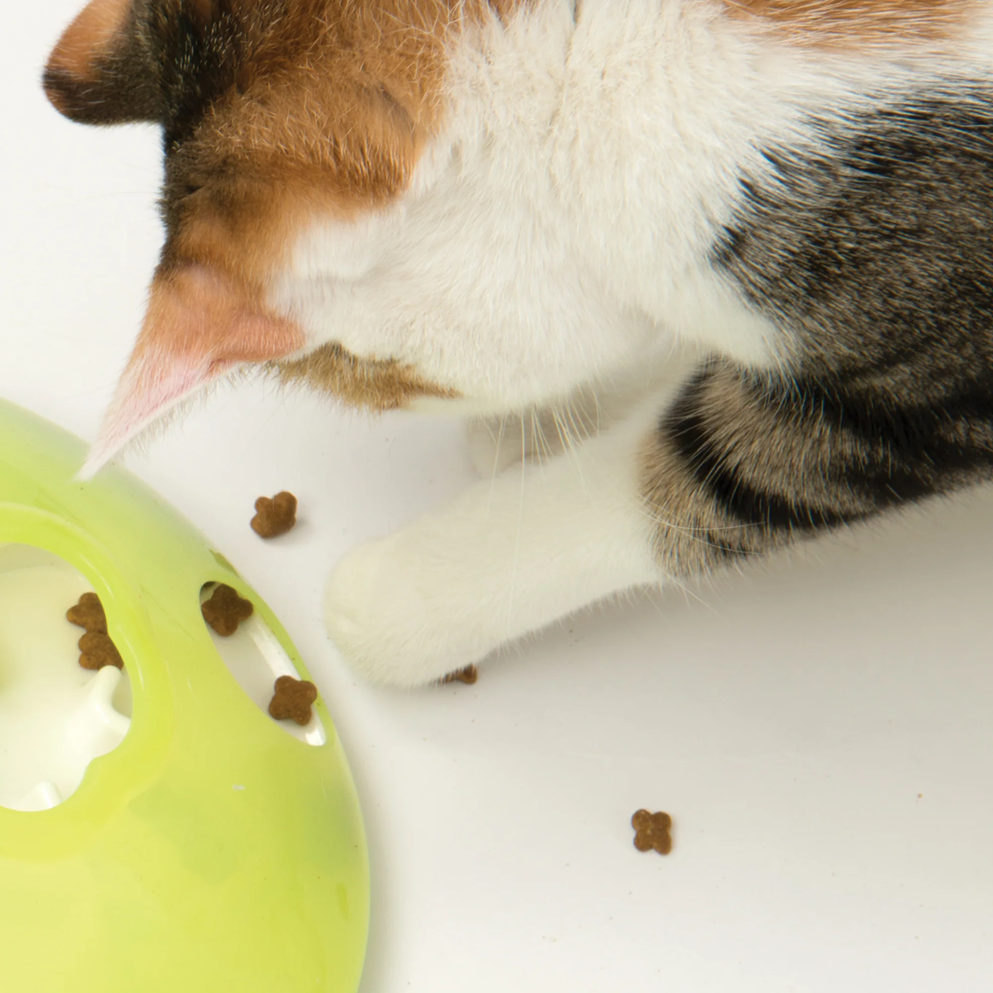 Catit 2.0 Play Treat Spinner - Image 2