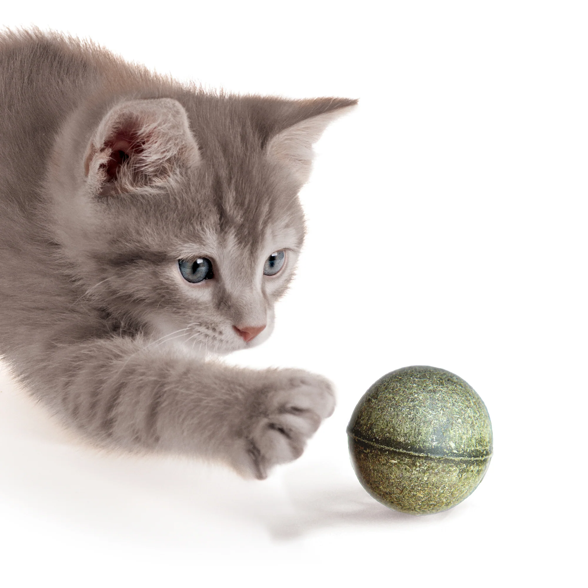 Catit Catnip Play Ball - Image 3