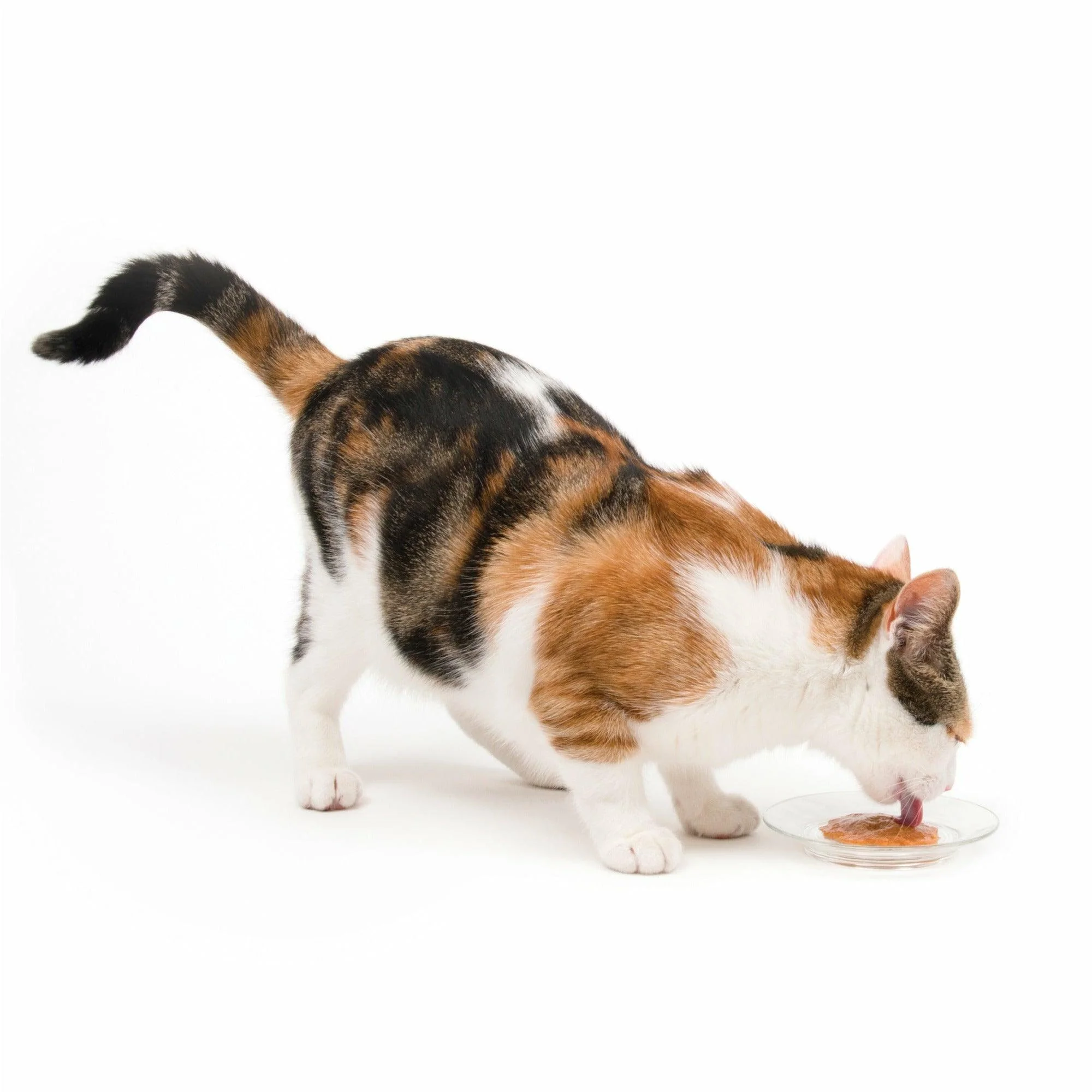 CatIt Creamy Lickable Treats Chicken & Shrimp - Image 6