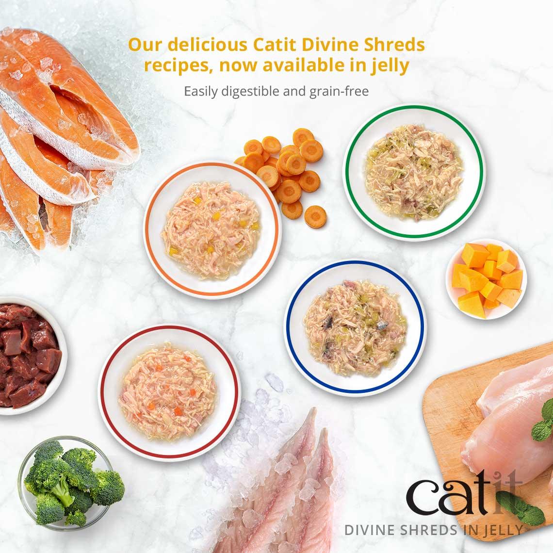 Catit Divine Shreds Chicken In Jelly Multipack - Image 4