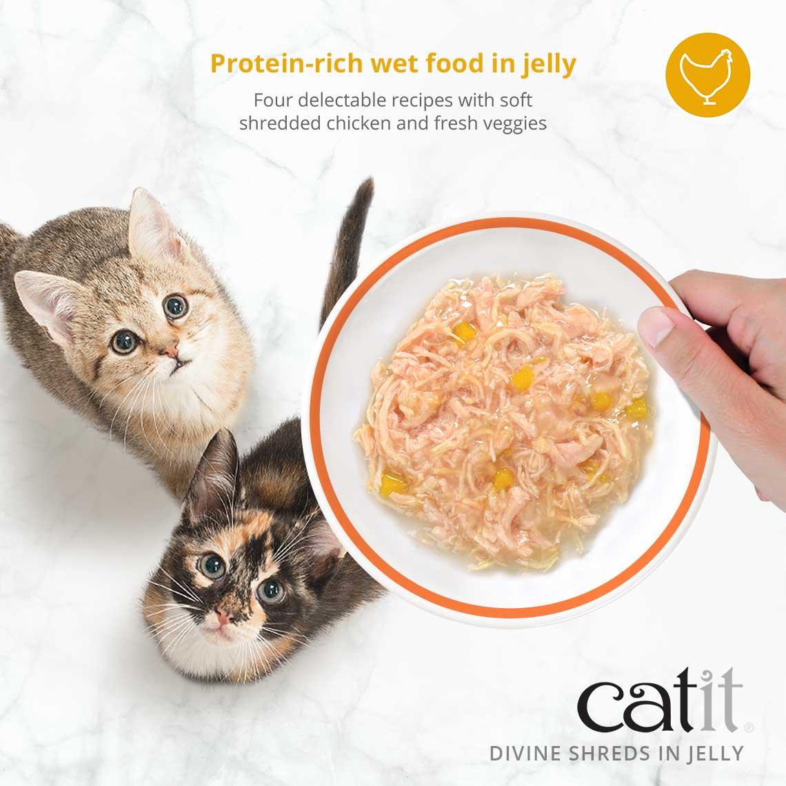 Catit Divine Shreds Chicken, Salmon & Pumpkin In Jelly 4 Pack - Image 3
