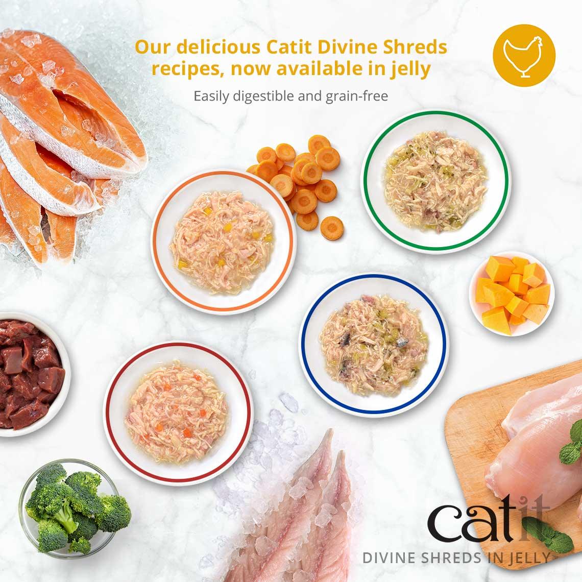 Catit Divine Shreds Chicken, Salmon & Pumpkin In Jelly 4 Pack - Image 4