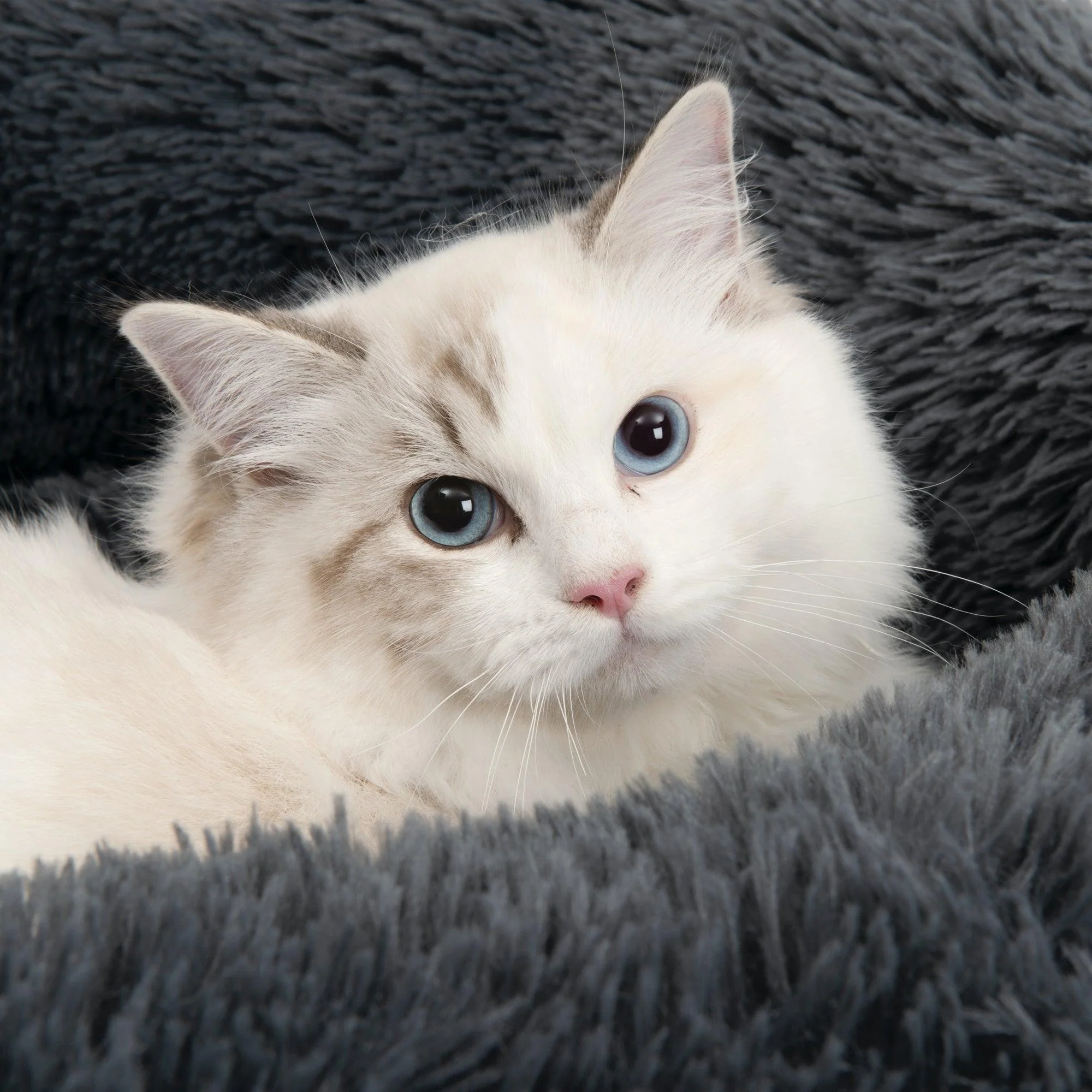 Catit Fluffy Bed Dark Grey - Image 3