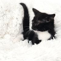 Catit Fluffy Bed White - Image 6
