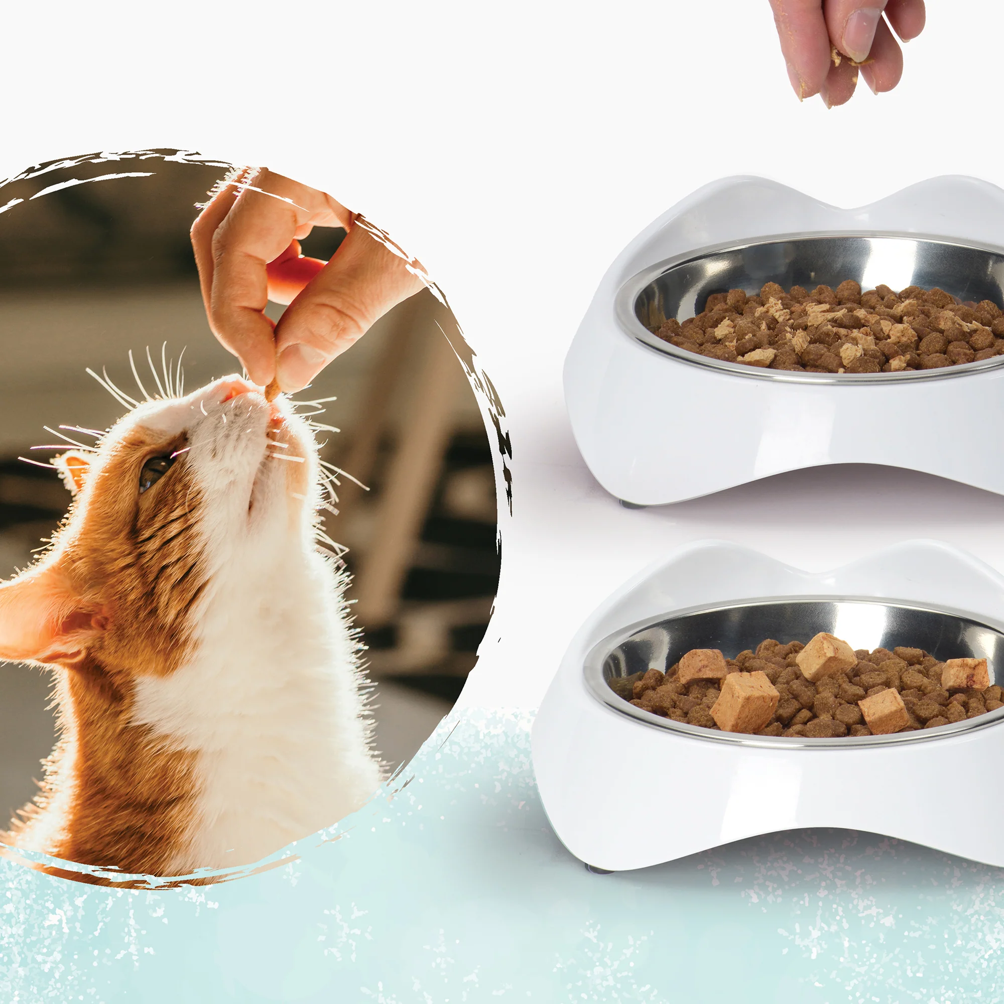 Catit Freeze-Dried Raw Ocean Whitefish Cat Treats - Image 3