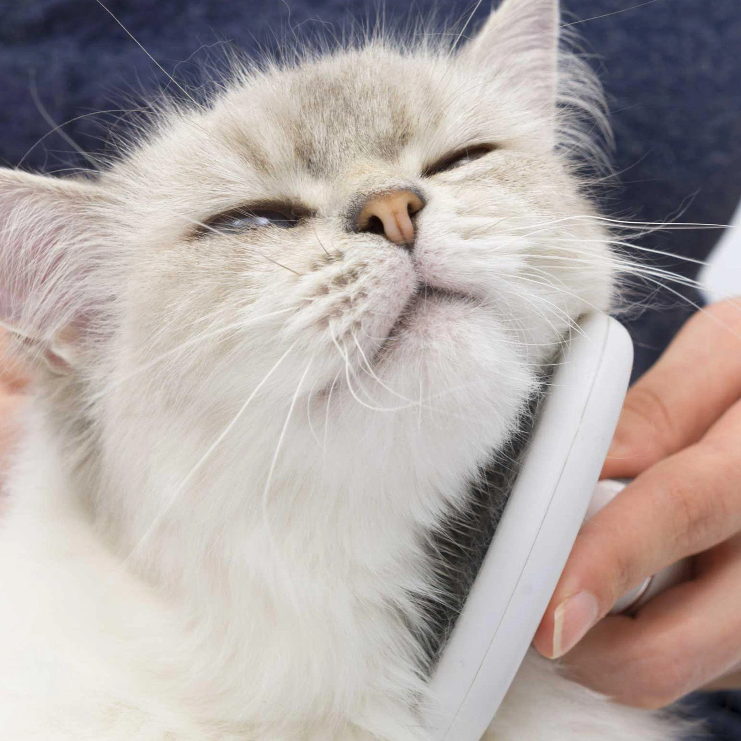 Catit Grooming Kit Long Hair - Image 5