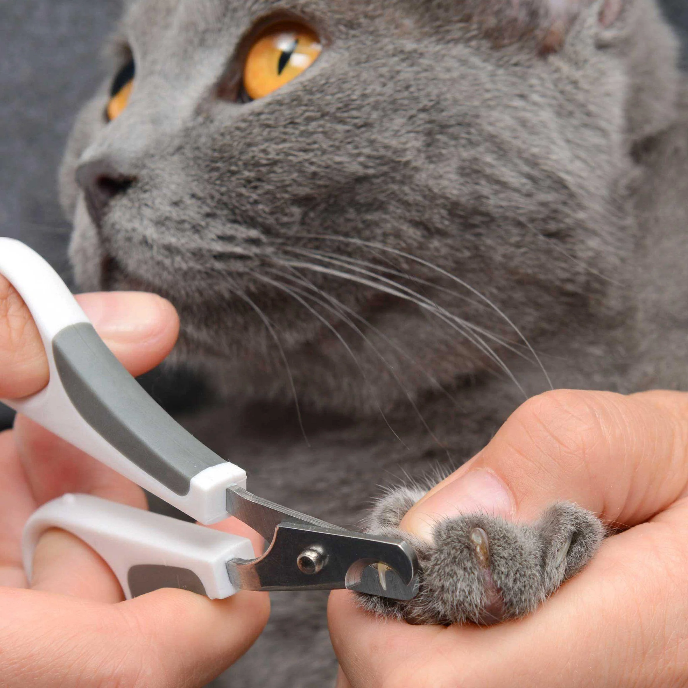 Catit Grooming Kit Short Hair - Image 4