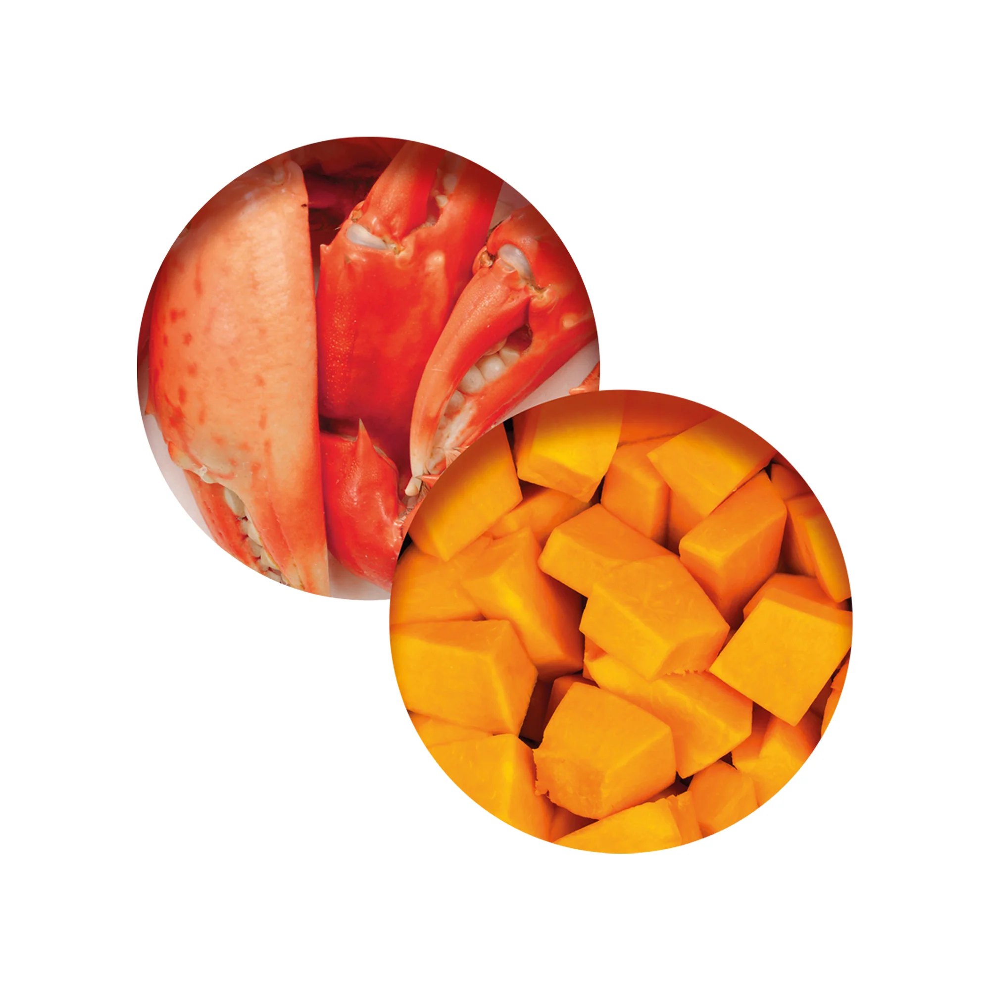 CatIt Wet Cat Food Fish Dinner With Crab Flavour & Pumpkin - Image 3