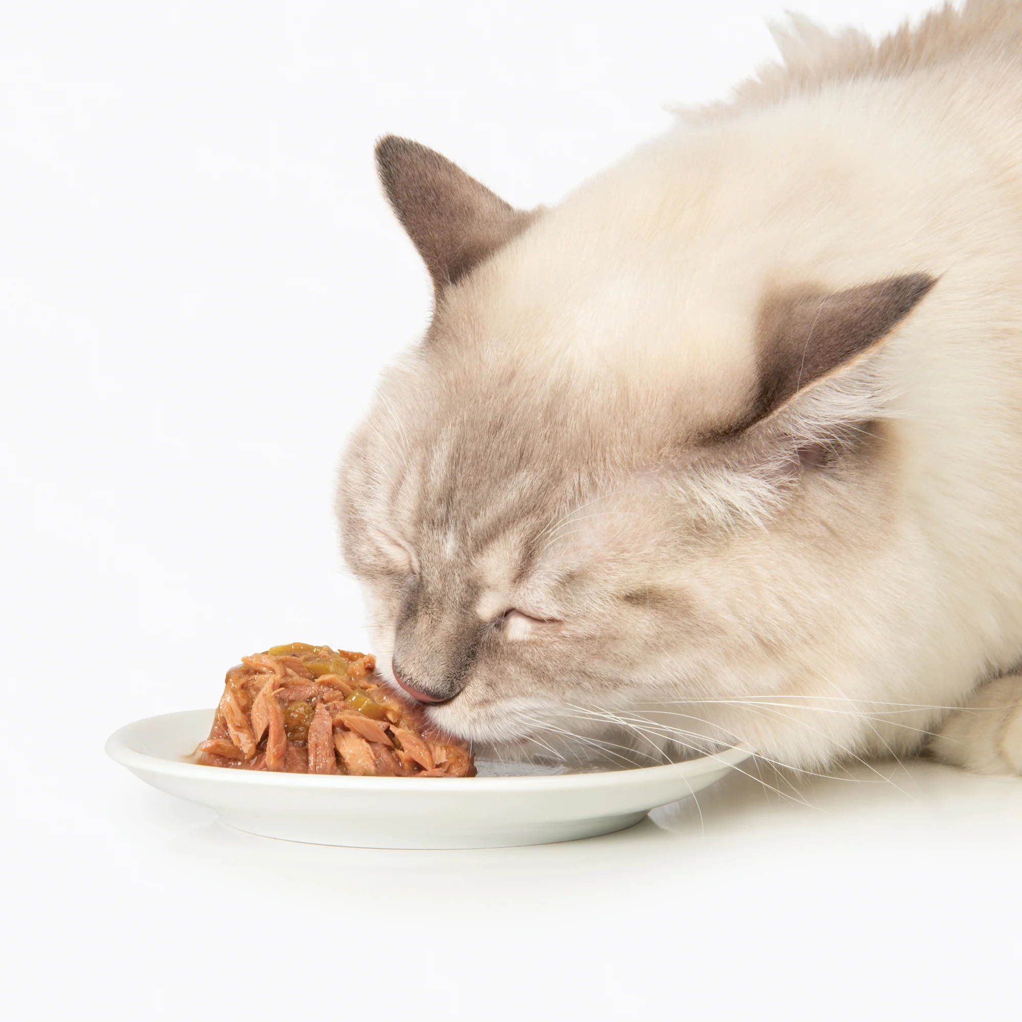 CatIt Wet Cat Food Fish Dinner With Crab Flavour & Pumpkin - Image 4