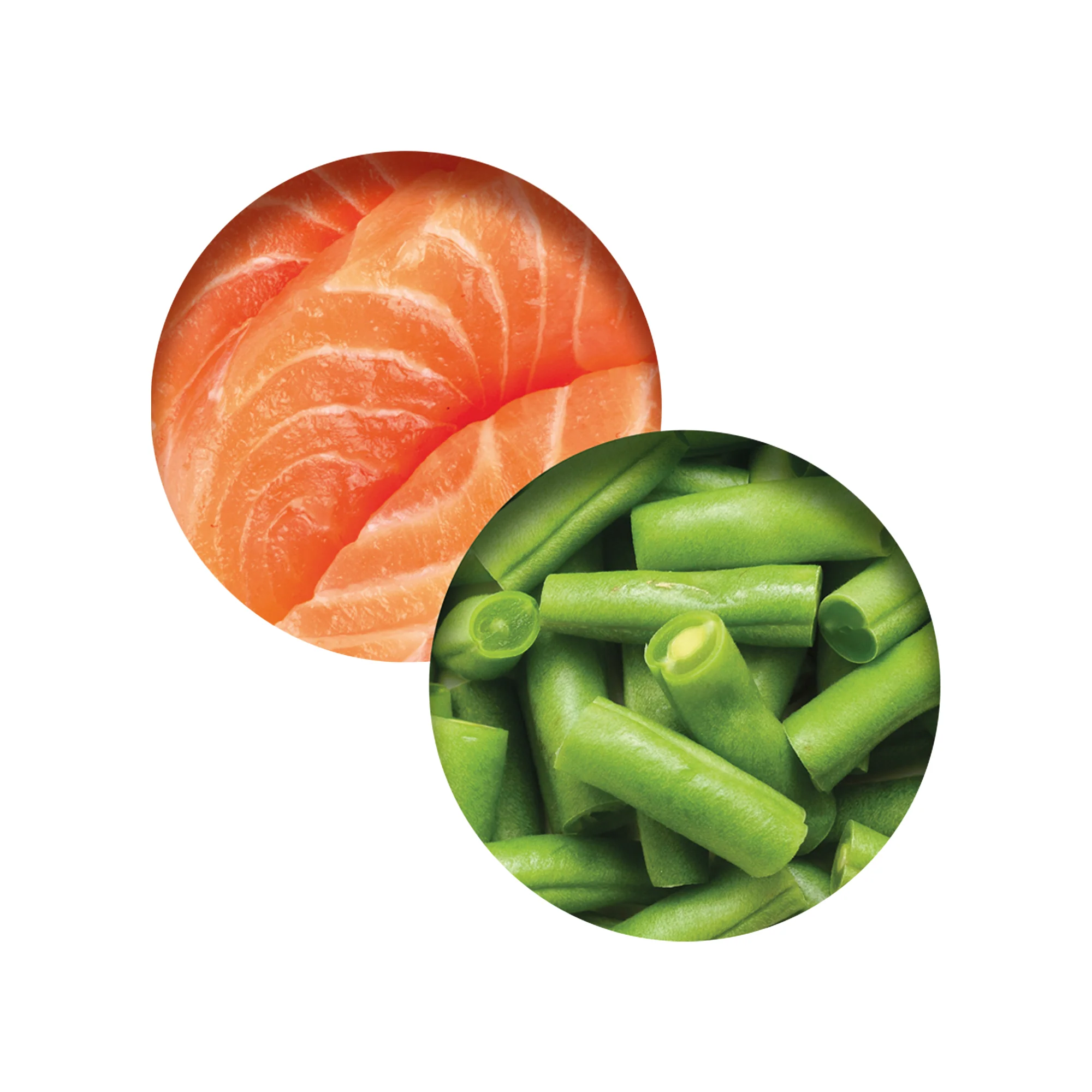 CatIt Wet Cat Food Fish Dinner With Salmon & Green Beans - Image 3
