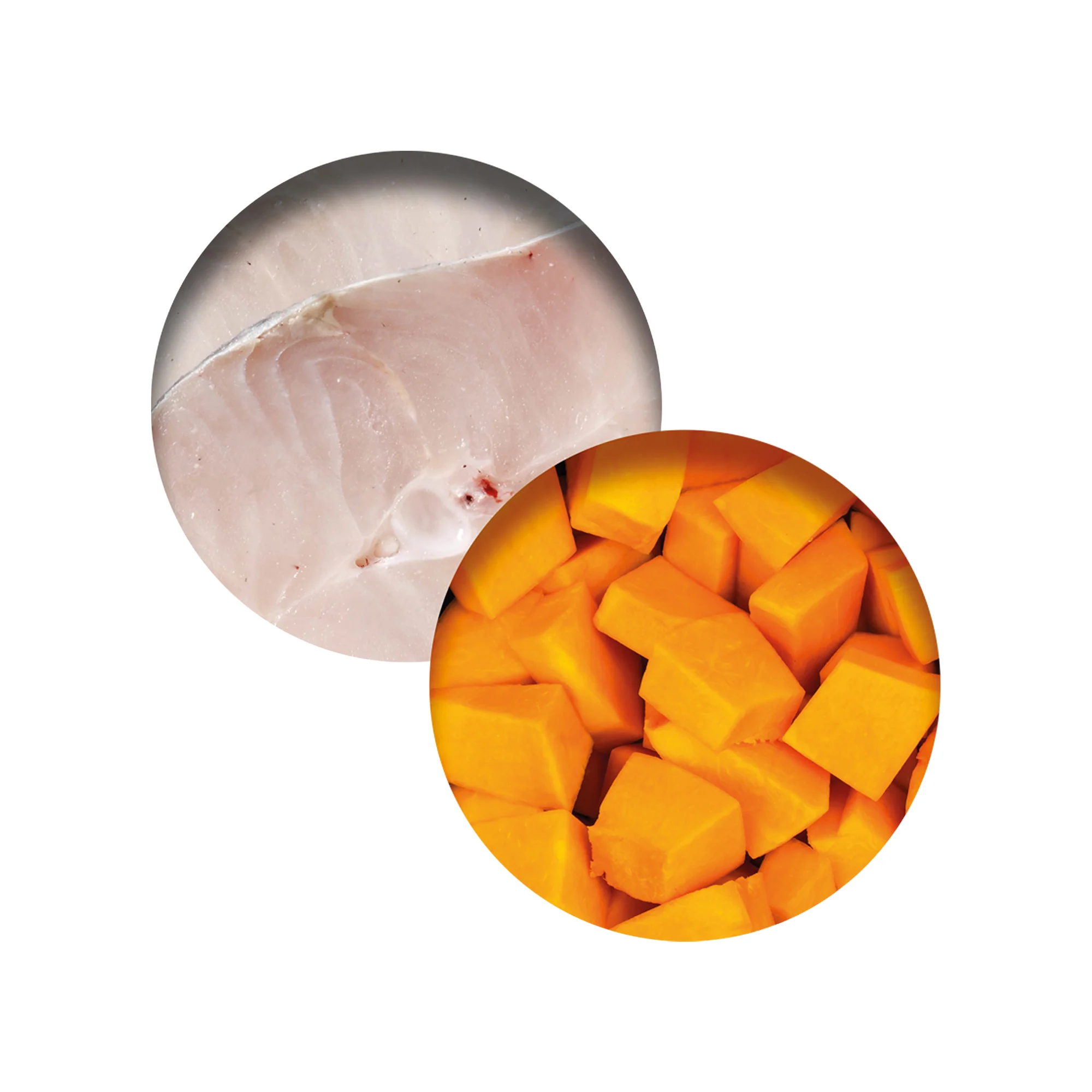 CatIt Wet Cat Food Fish Dinner With Whitefish & Pumpkin - Image 3