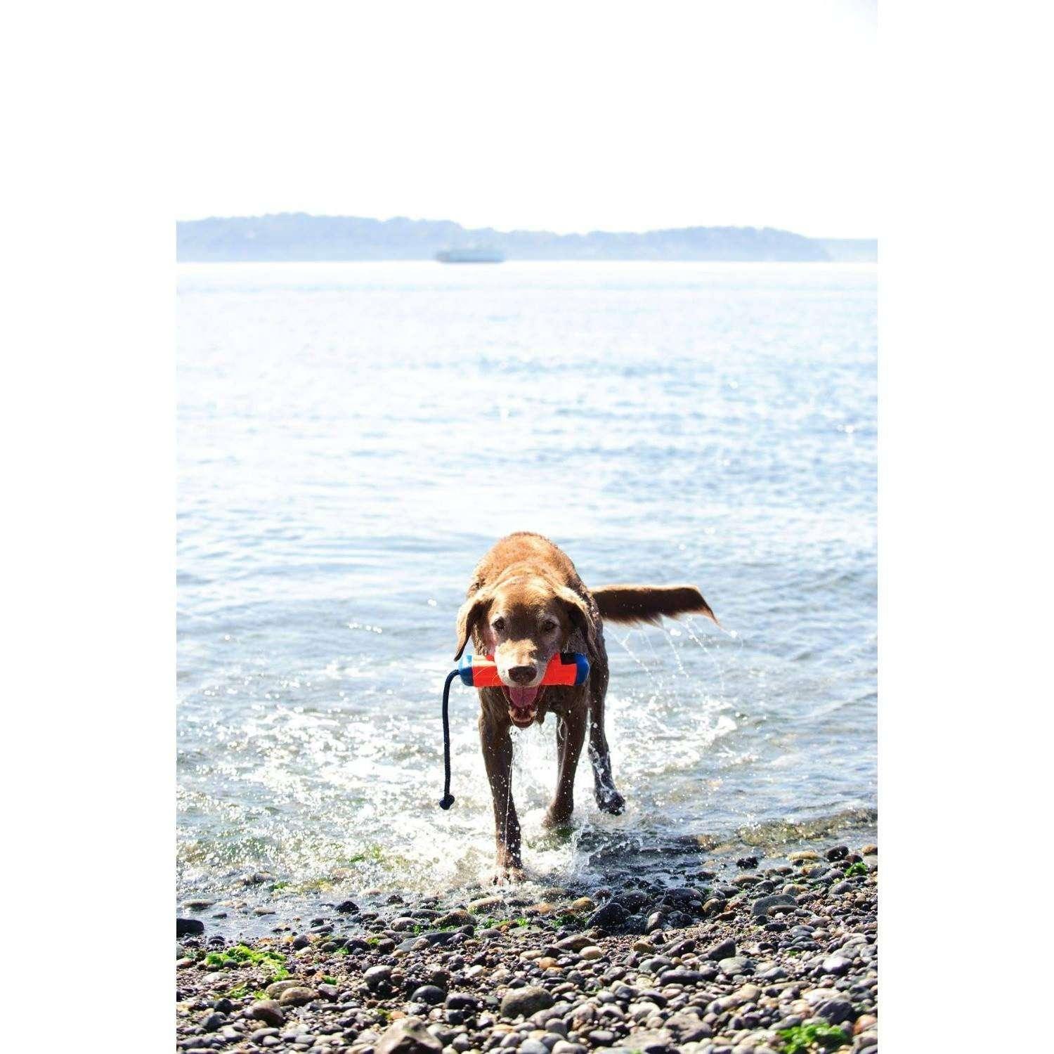 Chuck It Amphibious Bumper - Image 3