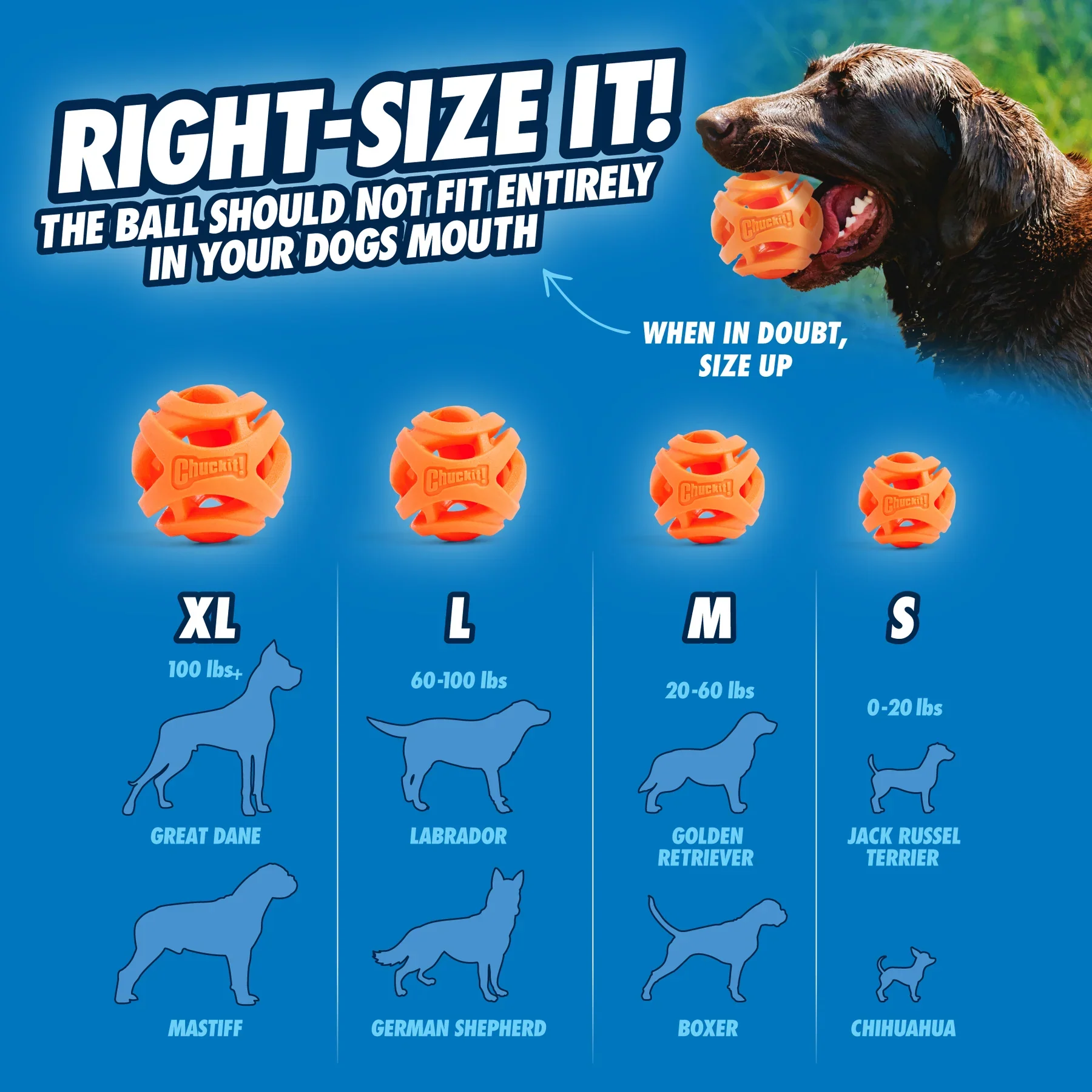 Chuck It Breathe Right Fetch Ball - Image 3