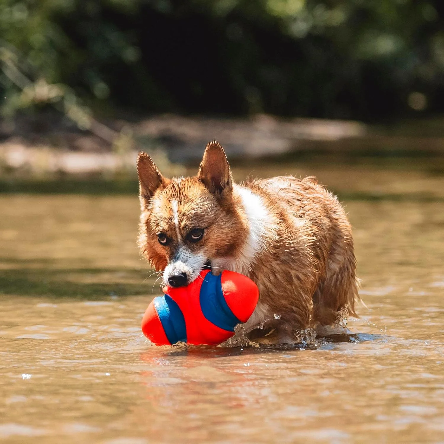 ChuckIt Fumble Fetch - Image 5