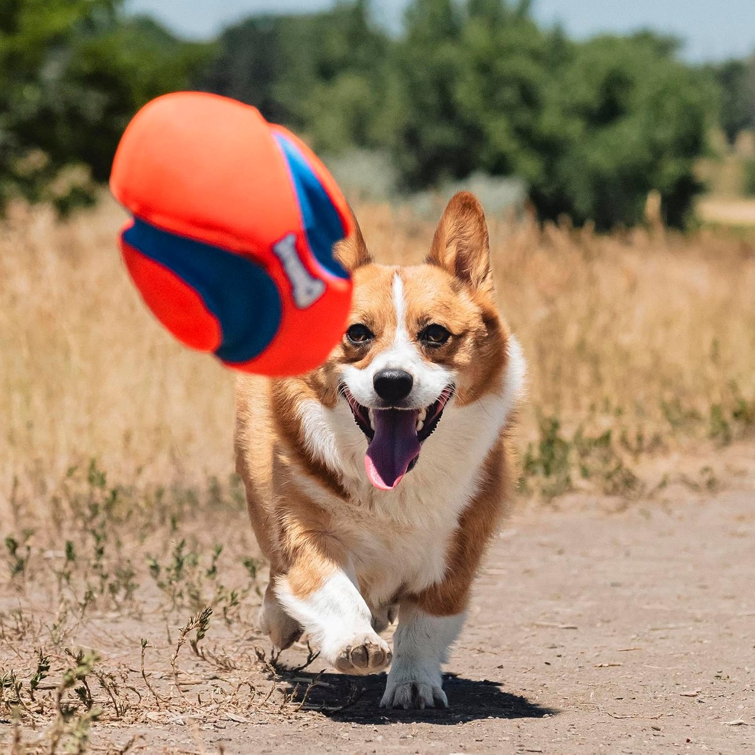 ChuckIt Fumble Fetch - Image 6