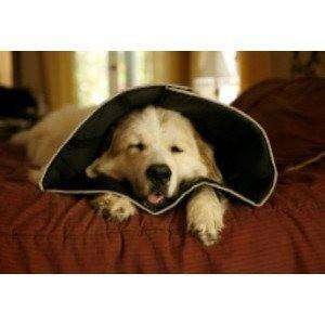 Comfy Cone E-Collar for Dogs & Cats, Black - Image 3