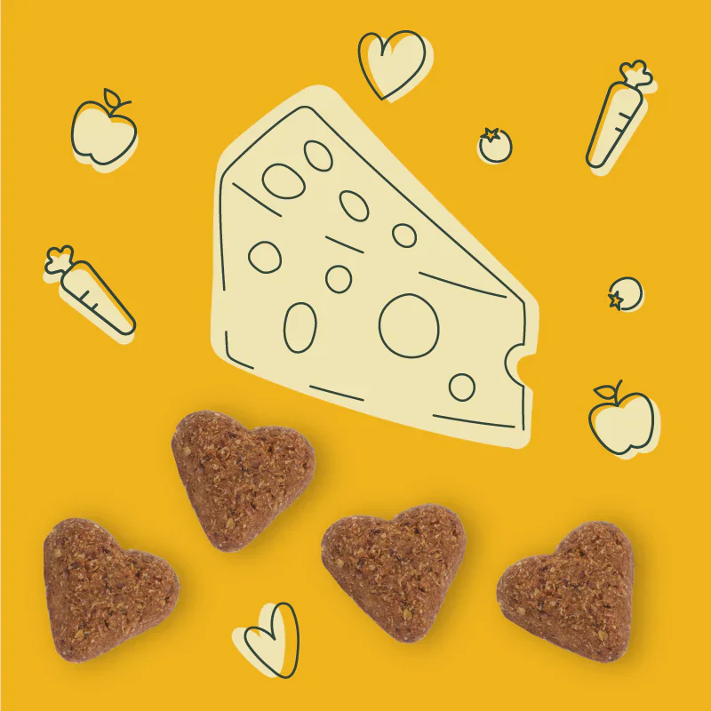 Darford Dog Soft Baked Super Cheesy Soft & Chewy Treats - Image 5