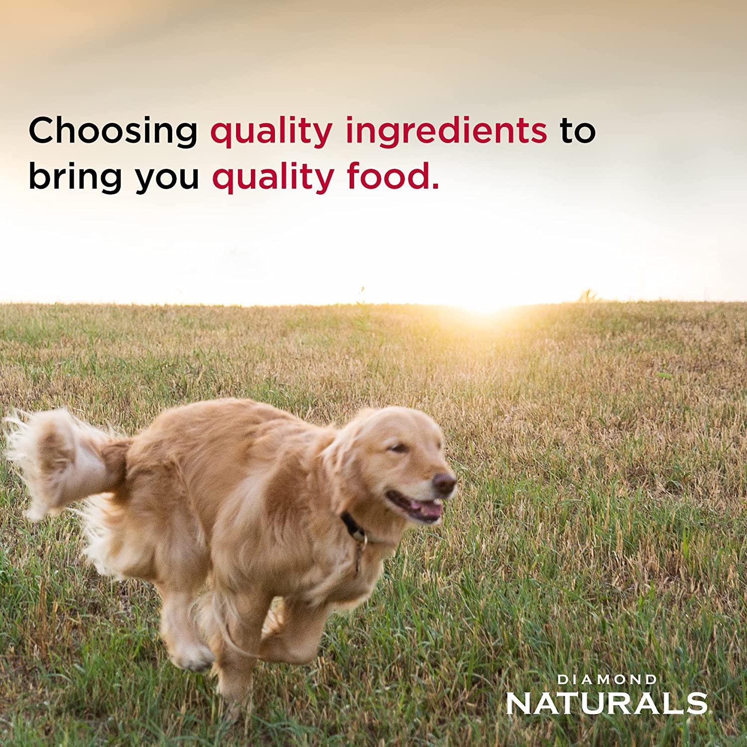 Diamond Naturals Dog Food Large Breed Adult Lamb & Rice - Image 3