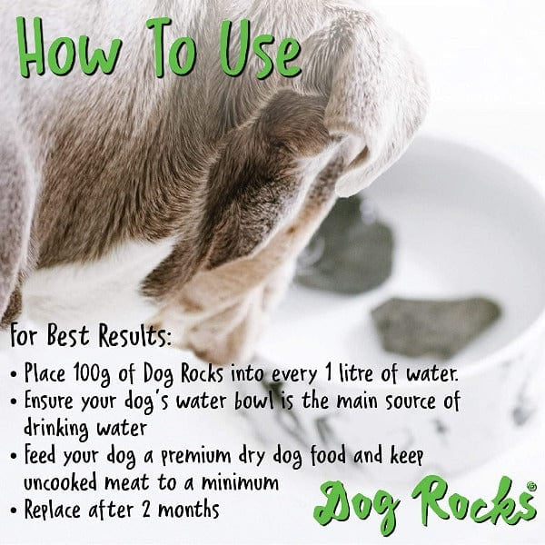 Dog Rocks Grass Saver - Image 2