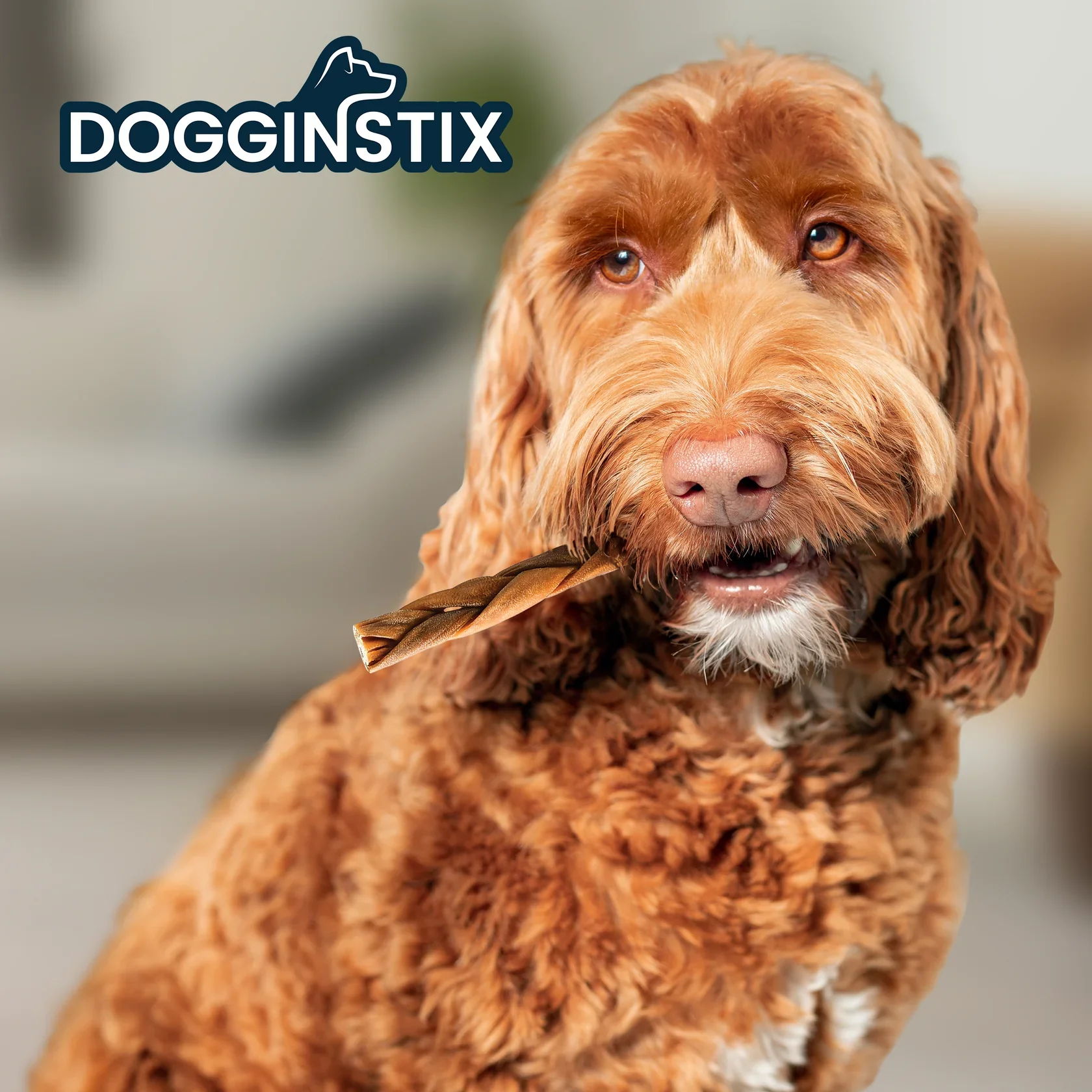 Dogginstix Braided Lamb Collagen - Image 4