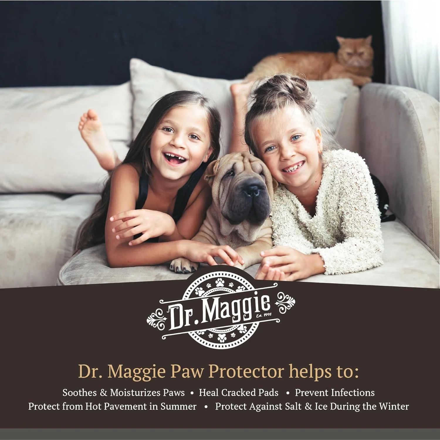 Dr. Maggie Paw Protector Protective Balm for Dogs & Cats - Image 4