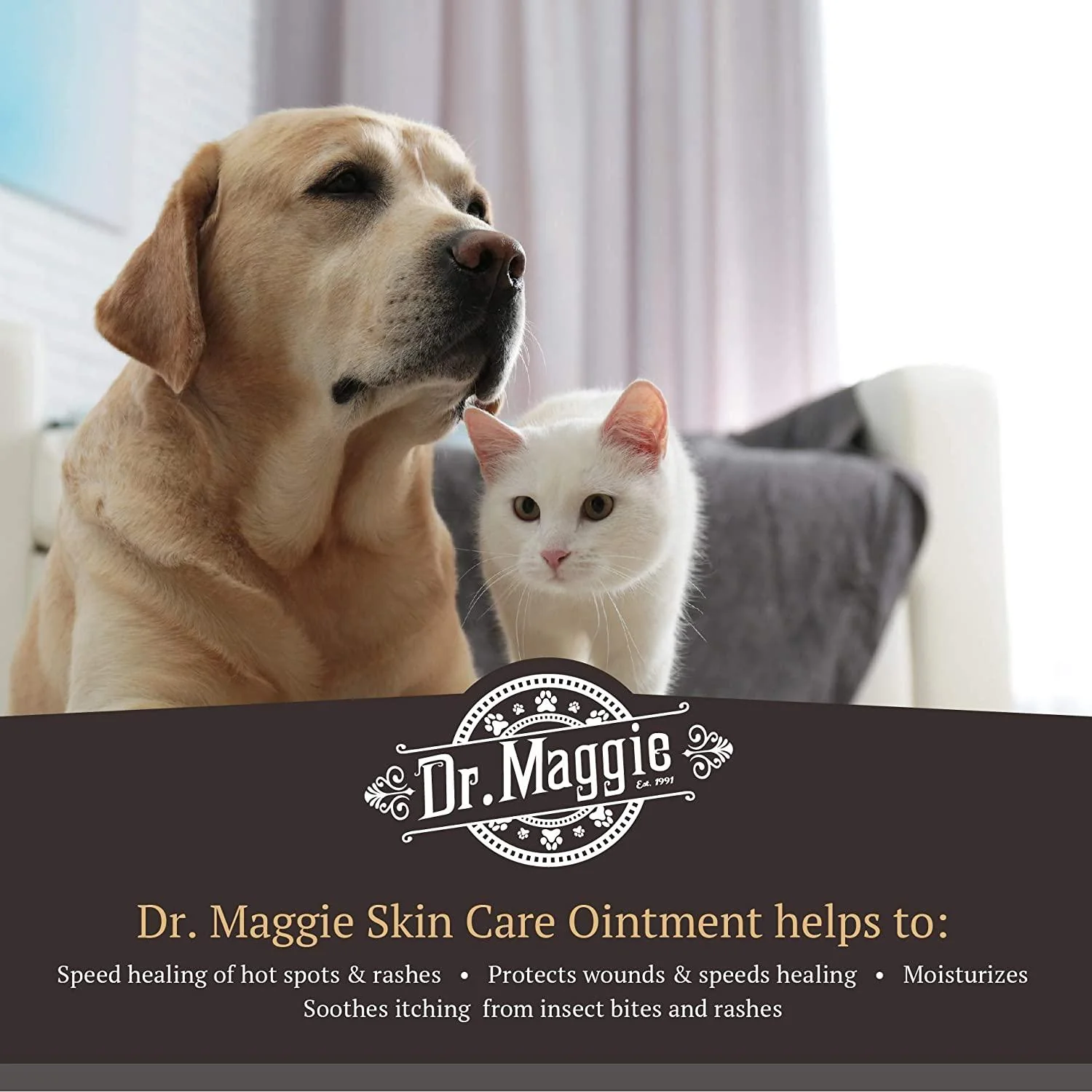 Dr. Maggie Skin Care Ointment for Dogs and Cats - Image 3