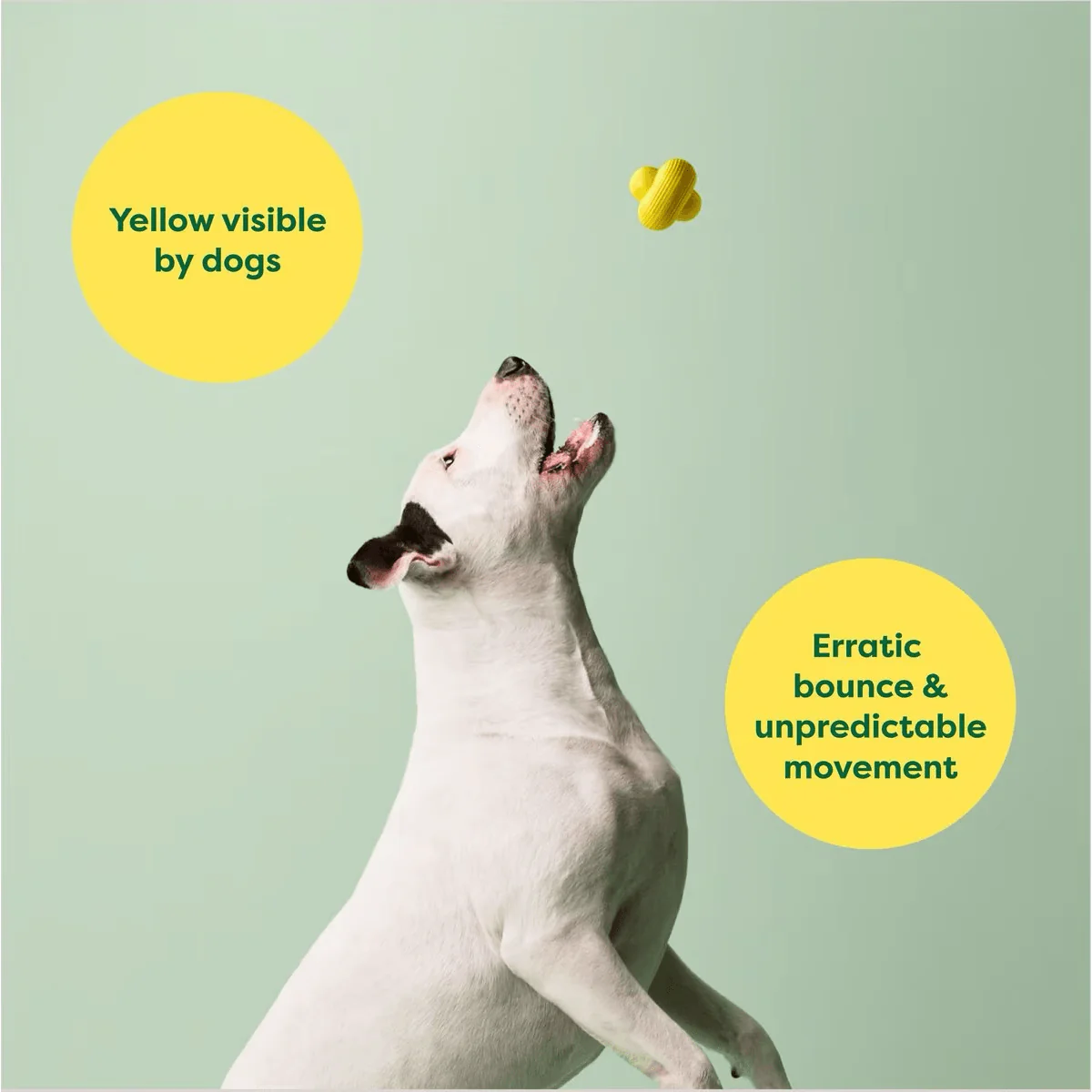 Earth Rated Rubber Fetch Chew Dog Toy - Image 4