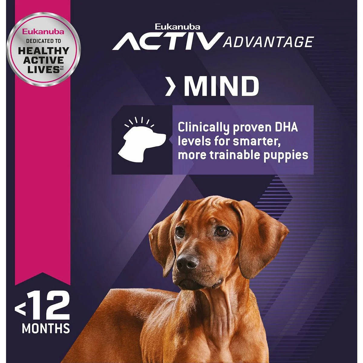 Eukanuba Puppy Food Large Breed - Image 4