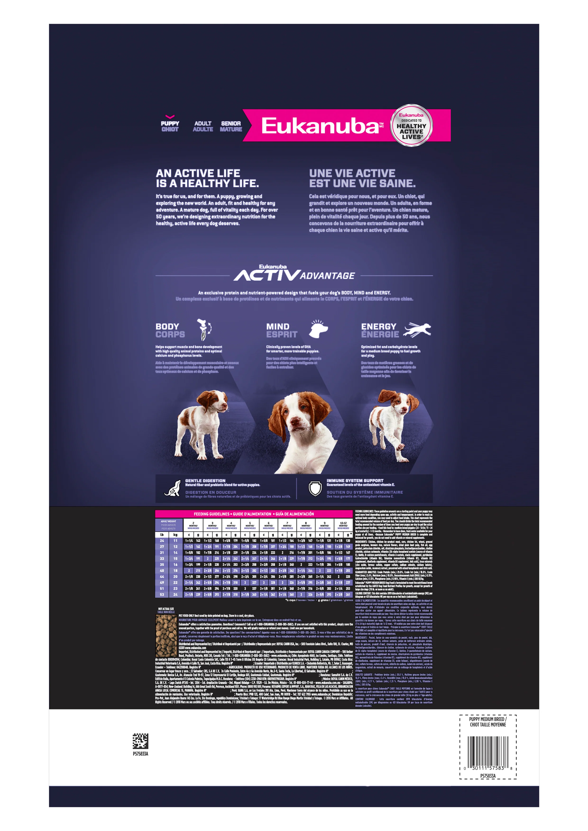 Eukanuba Puppy Medium Breed Dry Dog Food - Image 2