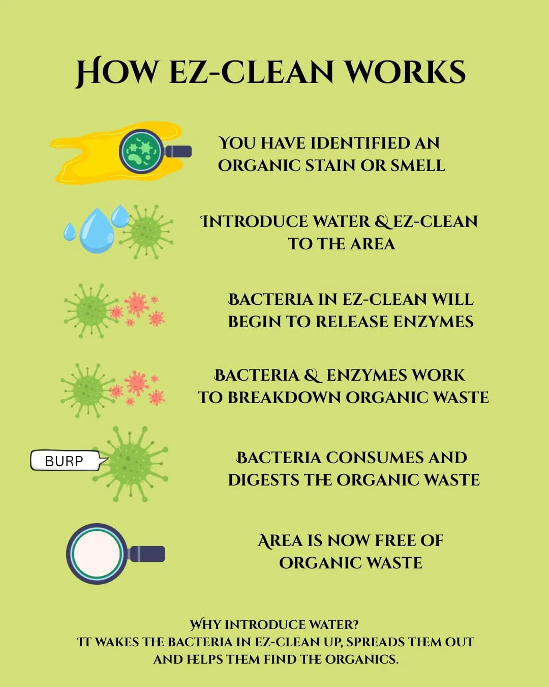 Ez-Clean Odour & Stain Remover Original Scent - Image 3