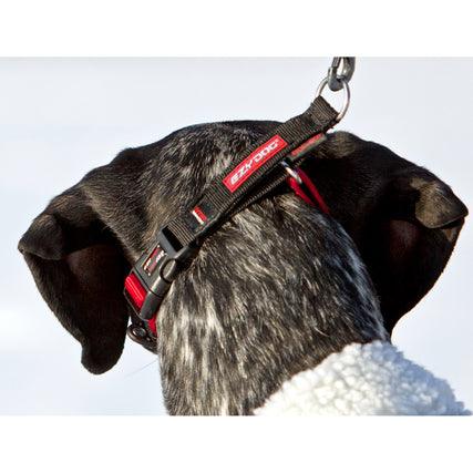 EZYDog Checkmate Dog Collar Blue - Image 2
