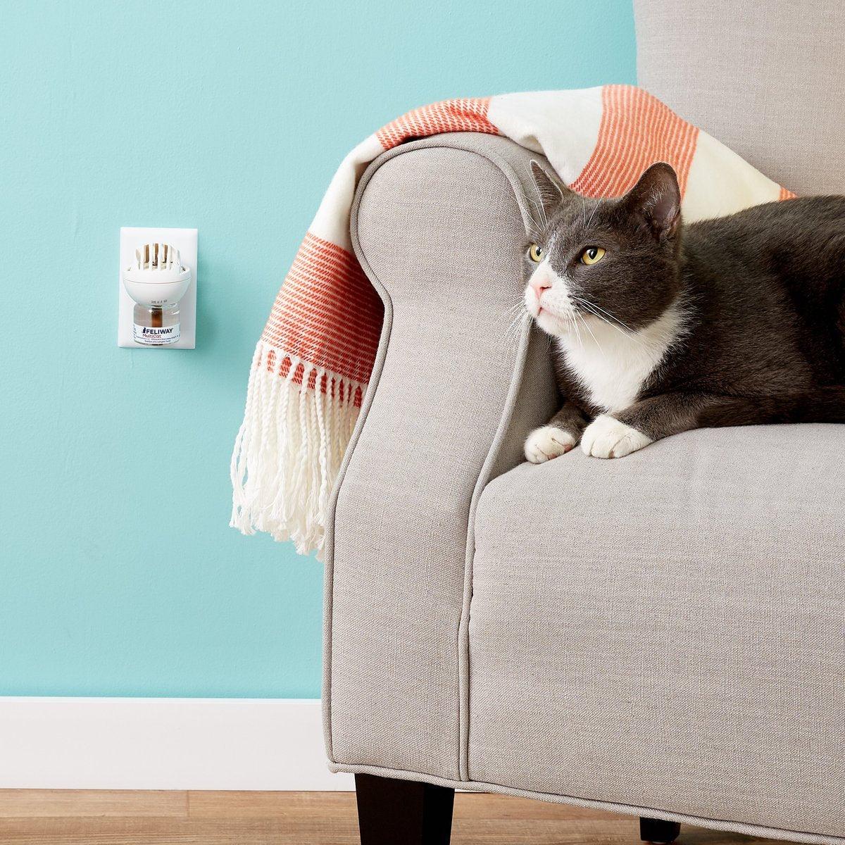 Feliway MultiCat Calming Diffuser Refill for Cats, 30 day - Image 7