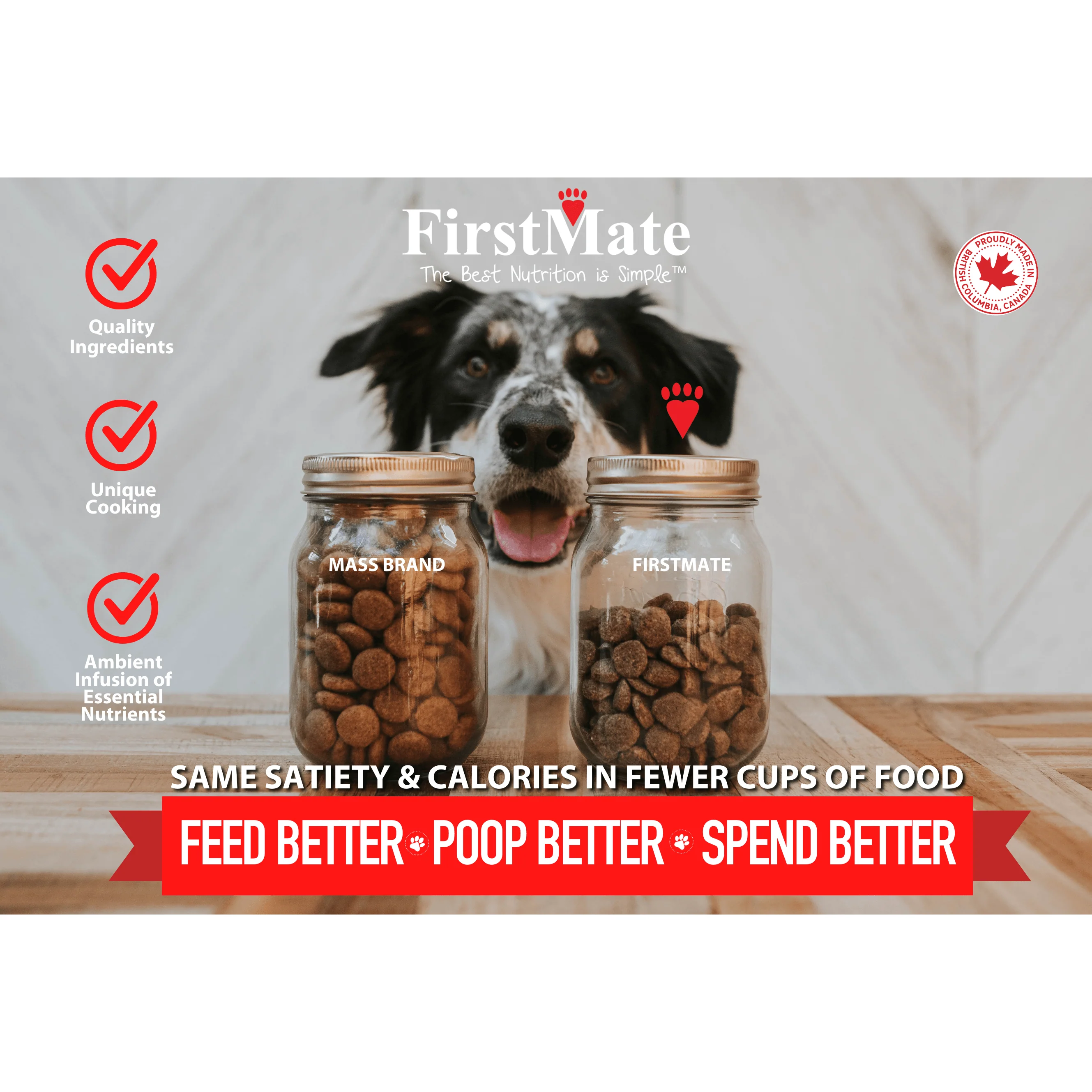 FirstMate Grain Friendly Cage-Free Chicken Meal & Oats Dog Food - Image 2