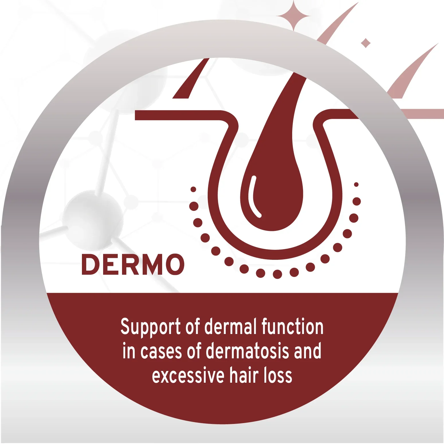 Forza10 Nutraceutic Active Dermo Support Diet Dry Dog Food - Image 3