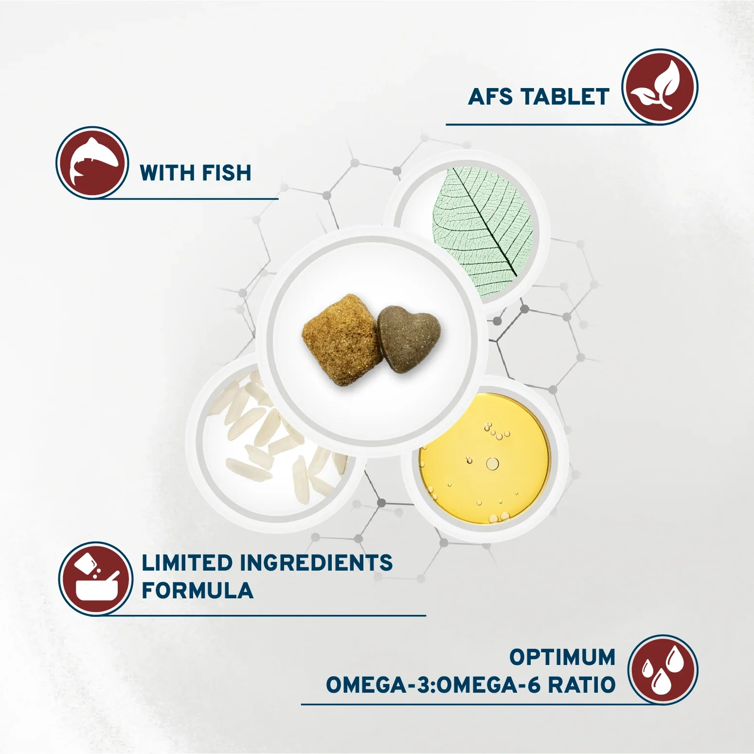 Forza10 Nutraceutic Active Dermo Support Diet Dry Dog Food - Image 6