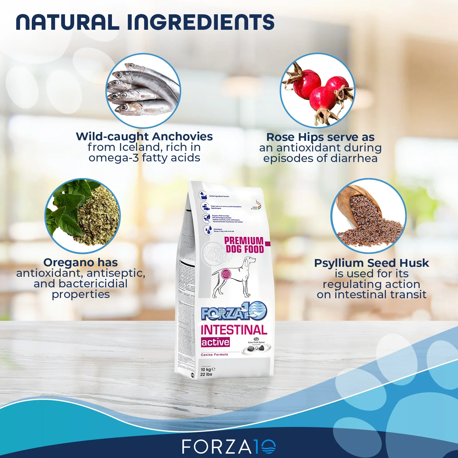 Forza10 Nutraceutic Active Intestinal Support Diet Dry Dog Food - Image 5