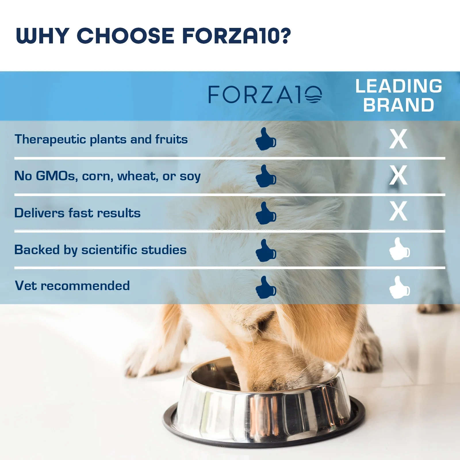 Forza10 Nutraceutic Active Intestinal Support Diet Dry Dog Food - Image 7